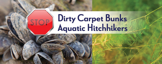Synthetic Boat Bunk Covers Help Prevent ANS Spread